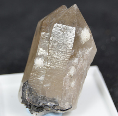 Quartz, bertrandite