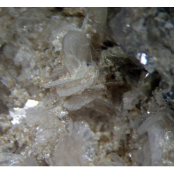 Close-up of thin, bladed bertrandite crystals