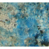 Microscopic view of light blue, fibrous khaidarkanite
