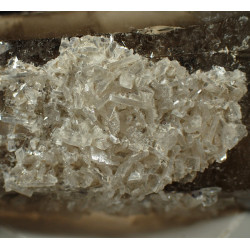 Tabular bertrandite crystals om quartz