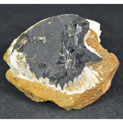 Vivianite