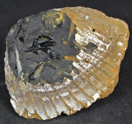 Vivianite