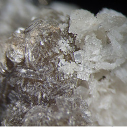 Bertrandite, muscovite