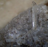 Slender epididymite crystals in quartz