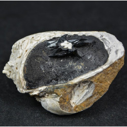 Vivianite