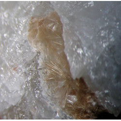 Close-up of sprays of raite