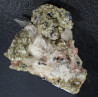 Bertrandite, muscovite