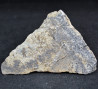 Lead