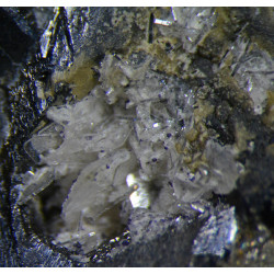 Sphalerite, bertrandite