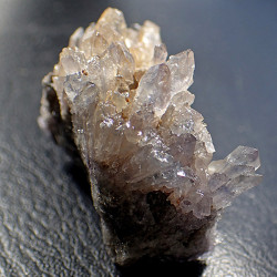 Creedite