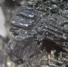 Djurleite