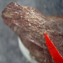 Ribbeite