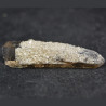 Bertrandite, quartz