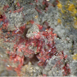 Getchellite, orpiment