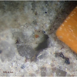 Calciobetafite (Pyrochlore Group)