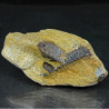 Staurolite