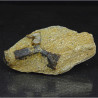 Staurolite