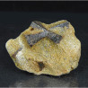 Staurolite