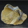 Staurolite