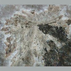 Umbozerite, nordite-(Ce)