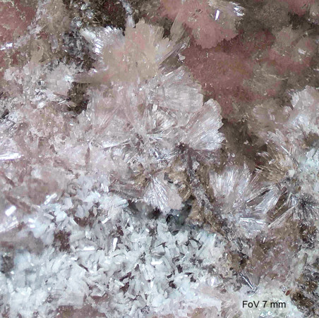Pink zorite and white mountainite