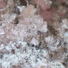 Pink zorite and white mountainite