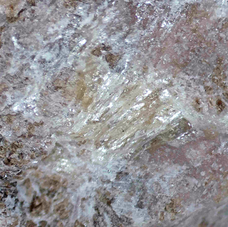 Bornemanite