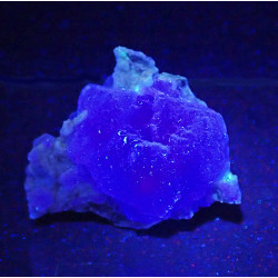 LW UV light