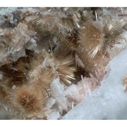 Close-up of golden brown raite
