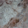 White mountainite and pink zorite
