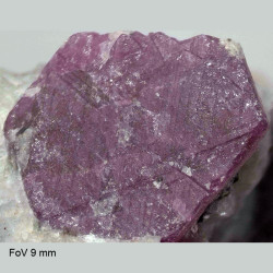Corundum (ruby)