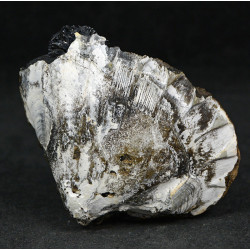 Vivianite
