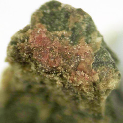 Kolovratite