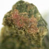Kolovratite