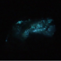 Bluish/greenish white afterglow (phosphorescence) in chkalovite/beryllite after UV radiation