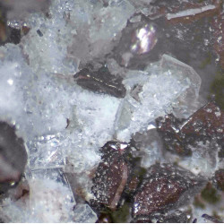 Lovdarite crystals. FoV 2 mm