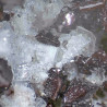 Lovdarite crystals. FoV 2 mm