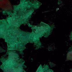 Lovdarite crystals in SW UV. FoV 2 mm