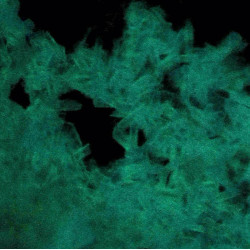 Bluish green beryllite in SW UV. FoV 2 mm