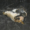 Ferri-pedrizite (sodic-ferripedrizite)