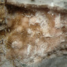 Raite, zorite