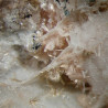 Raite, zorite