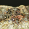 Yttrialite-(Y), kimuraite-(Y)