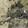 Bornite