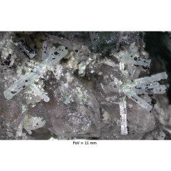 Quartz, fluorapatite, fluorite