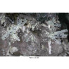 Quartz, fluorapatite, fluorite