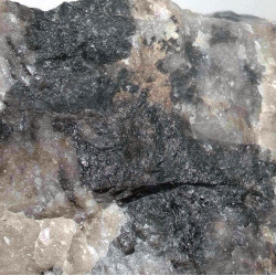 Allanite-(Y) (TL)