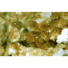 Raite, penkvilksite