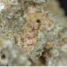 Small yellowish pink zorite spherules