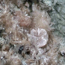Zorite, raite